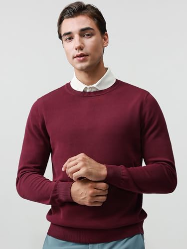 Pure BCI Cotton Lightweight Sweater for Men Crewneck T-Shirts Casual Long Sleeve Knit Pullover Fall Spring
