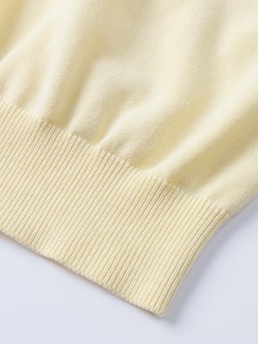 Pure BCI Cotton Lightweight Sweater for Men Crewneck T-Shirts Casual Long Sleeve Knit Pullover Fall Spring